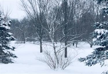 3939 Wilnor Dr, Oregon, WI 53575 - photo 5