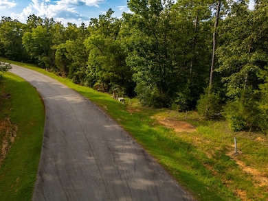 329 Terrapin Pointe Rd, Hodges, SC 29653 - photo 3