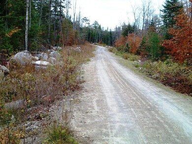 Lot 9 Sylvan Way, T3 R1 Nbpp, ME 04455 - photo 3