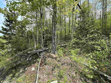 Lot 11 Tuscan Ridge Rd, Davis, WV 26260 - photo 5