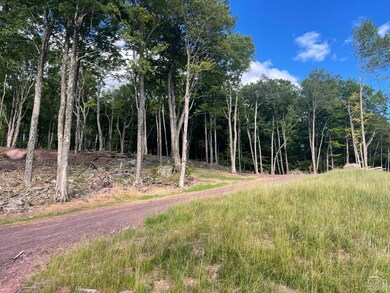 0 Route 25 Rd unit 146034, Tannersville, NY 12442 - photo 2