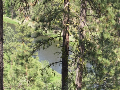 River view from the bluff