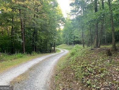 4301 Harold Whelchel Rd, Gainesville, GA 30506 - photo 7