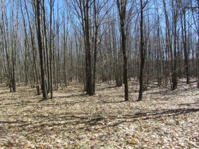 hersey Division and state road 033