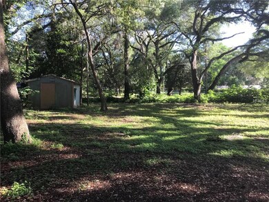 6149 Massey Rd, Zephyrhills, FL 33542 - photo 3