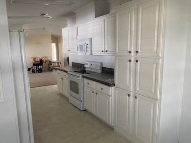 239 E Buffalo Bluff Rd unit 132, Satsuma, FL 32189 - photo 7