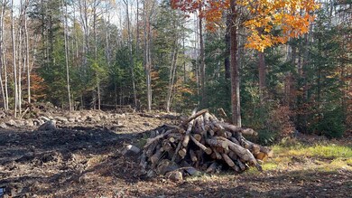 00 Dundee Rd unit R00, Bartlett, NH 03812 - photo 4