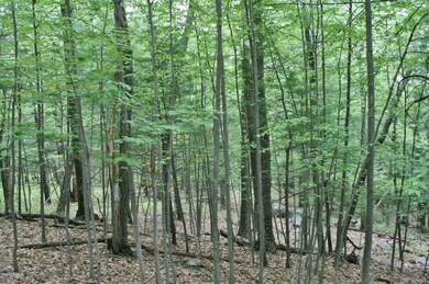 122 Song Mountain Dr, Tafton, PA 18464 - photo 4