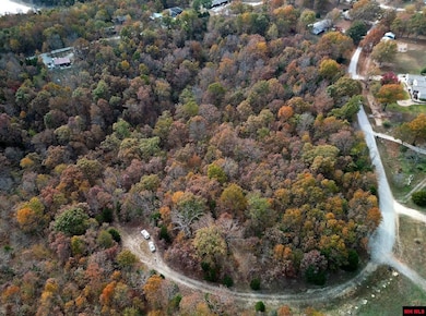 002-11055-016 Buckhead Ln, Mountain Home, AR 72653 - photo 7