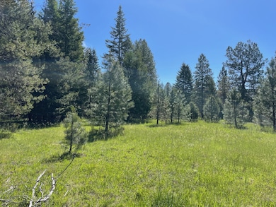 Nhn S Shore Dr, Trout Creek, MT 59874 - photo 2