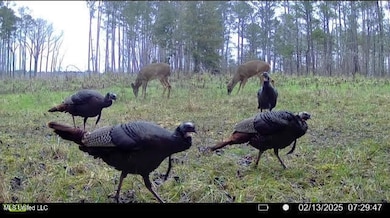 2 Highway 25 Hwy, Flowood, MS 39047 - photo 4