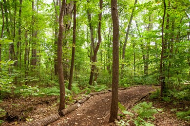 13440 Trillium Ln unit lot 19, New Buffalo, MI 49117 - photo 6