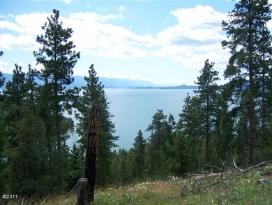 Lot 6
