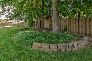 Backyard 2