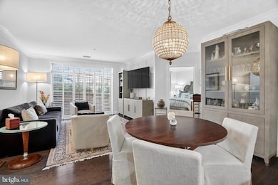 Acton's Landing Condominiums unit 101, Annapolis, MD 21401 - photo 7