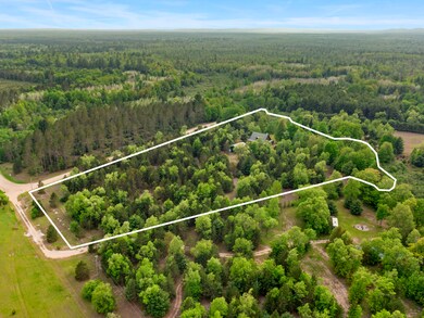 18090 Read Rd, Copemish, MI 49625 - photo 4