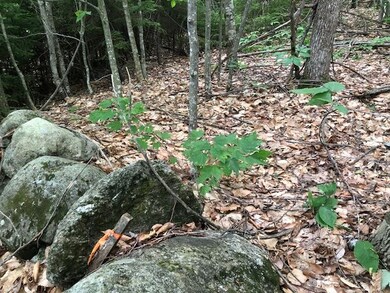 00 Skytop Dr, Newbury, NH 03255 - photo 2