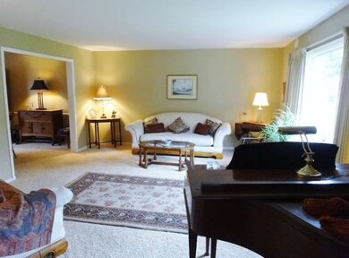 510 N Walnut St, Elmhurst, IL 60126 - photo 5