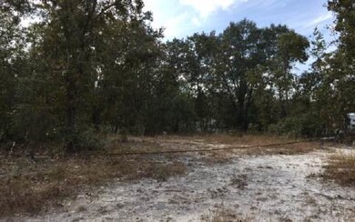 1599 125th Ln, Branford, FL 32008 - photo 3