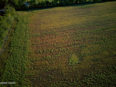 00000 Mosher Rd, Parsons, KS 67357 - photo 5