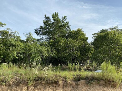 View of Lot looking North from Dirt Road