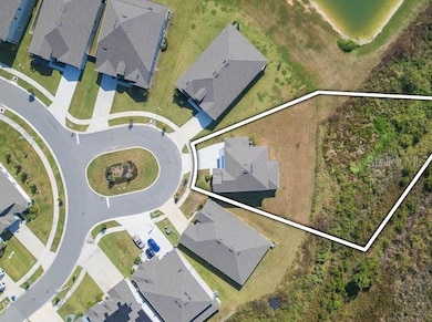 9503 Ibis Grove Blvd, Wesley Chapel, FL 33545 - photo 3