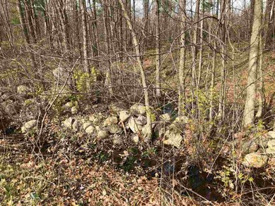 449 N Pembroke Rd, Pembroke, NH 03275 - photo 2