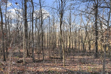 0 Mulberry Rd, Mount Perry, OH 43760 - photo 4