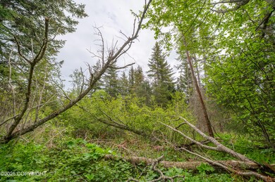 DSC_5109-HDR