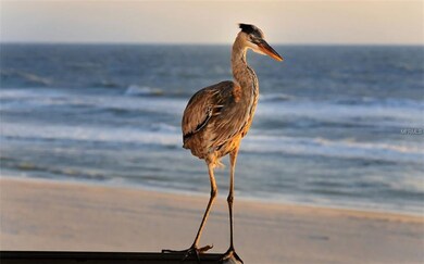 8531 Blind Pass Dr, Treasure Island, FL 33706 - photo 5