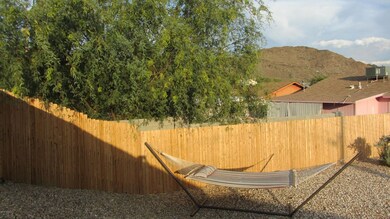 Backyard2