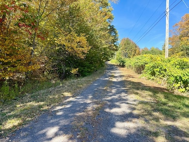 393 B G Partridge Rd, Ashland, NY 12496 - photo 6