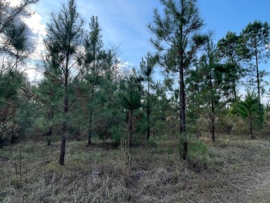 223 Kersey Rd, Adrian, GA 31002 - photo 7