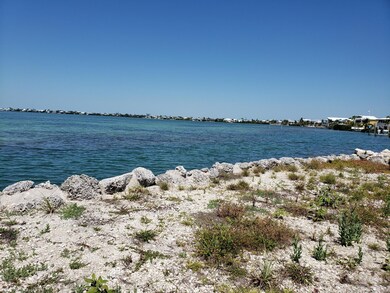 View 1
