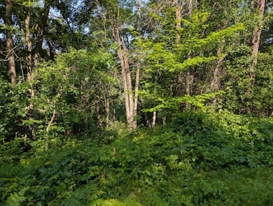 XXX Dock Lake Rd, Spooner, WI 54801 - photo 4