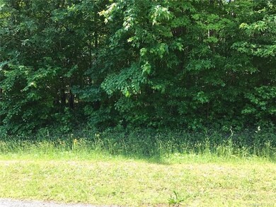 000 Bevis Ln unit 4, Statesville, NC 28677 - photo 3