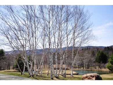 Views of Haystack & Mt Snow