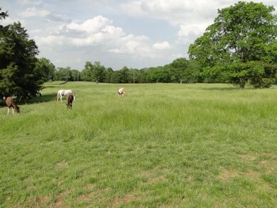 210 Uselton Rd, Shelbyville, TN 37160 - photo 4