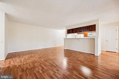 13114 Briarcliff Terrace unit 407, Germantown, MD 20874 - photo 6