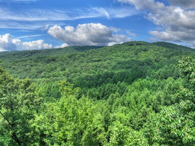 LOT 20 Locust Ln, Morganton, GA 30560 - photo 4