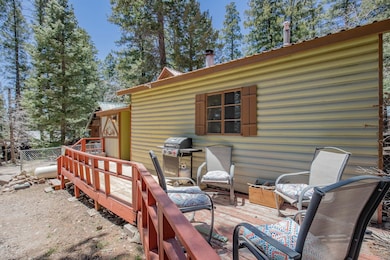 302 Lynx Loop S, Mayhill, NM 88339 - photo 3