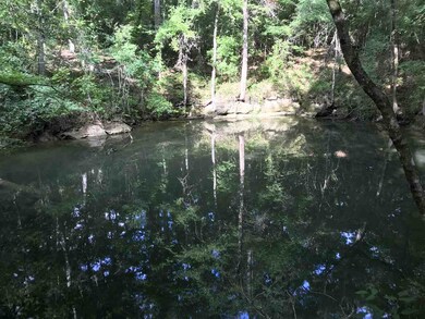 0 Wakulla Springs Hwy, Crawfordville, FL 32327 - photo 4