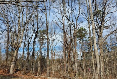 0 Rosemont Rd unit 1131923, Asheboro, NC 27203 - photo 5