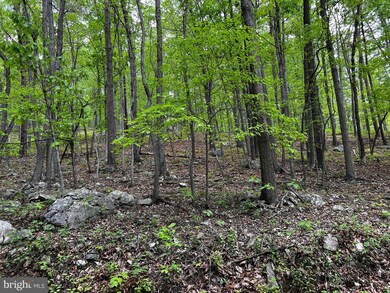 0 Dumpling Run Rd unit WVHD102062, Moorefield, WV 26836 - photo 4