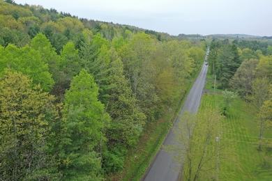 0 Kilkenny Rd, Unadilla, NY 13849 - photo 2