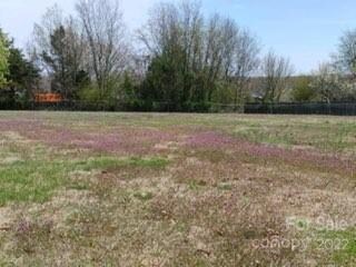 1314 River Hill Rd, Statesville, NC 28625 - photo 3