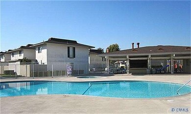 Pool and BBQ Area