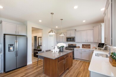 19939 65th Ave, Corcoran, MN 55340 - photo 4