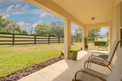 30430 Lipizzan Terrace, Mount Dora, FL 32757 - photo 6