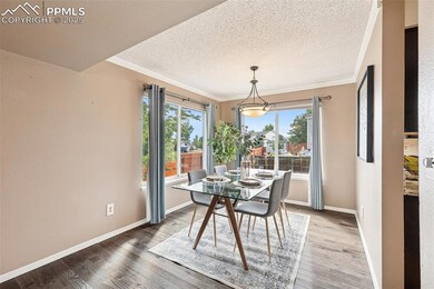 5026 Plumstead Dr, Colorado Springs, CO 80920 - photo 4